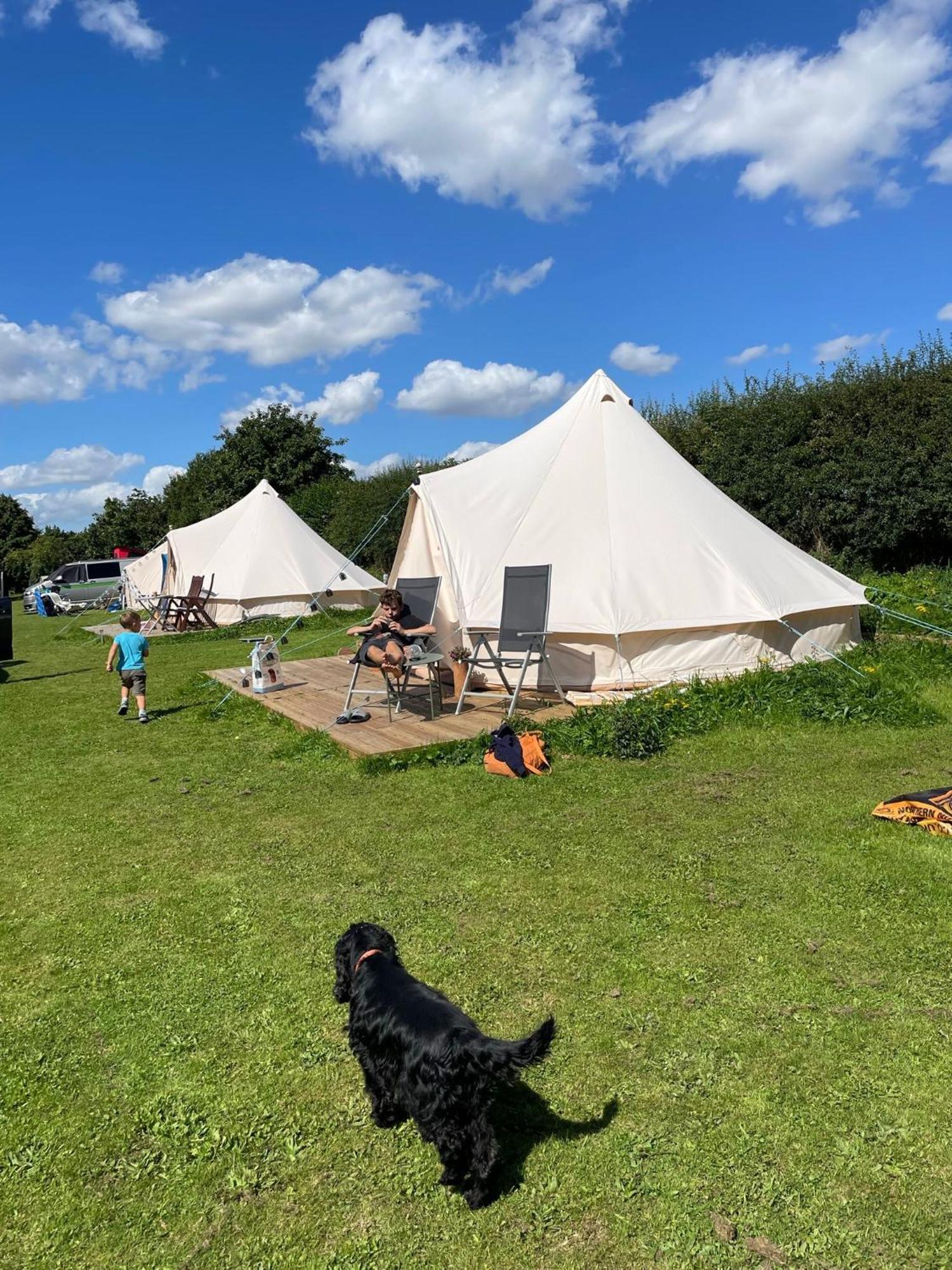 Luxury tent Roe Deer Meadow At Carr House Farm Scarborough