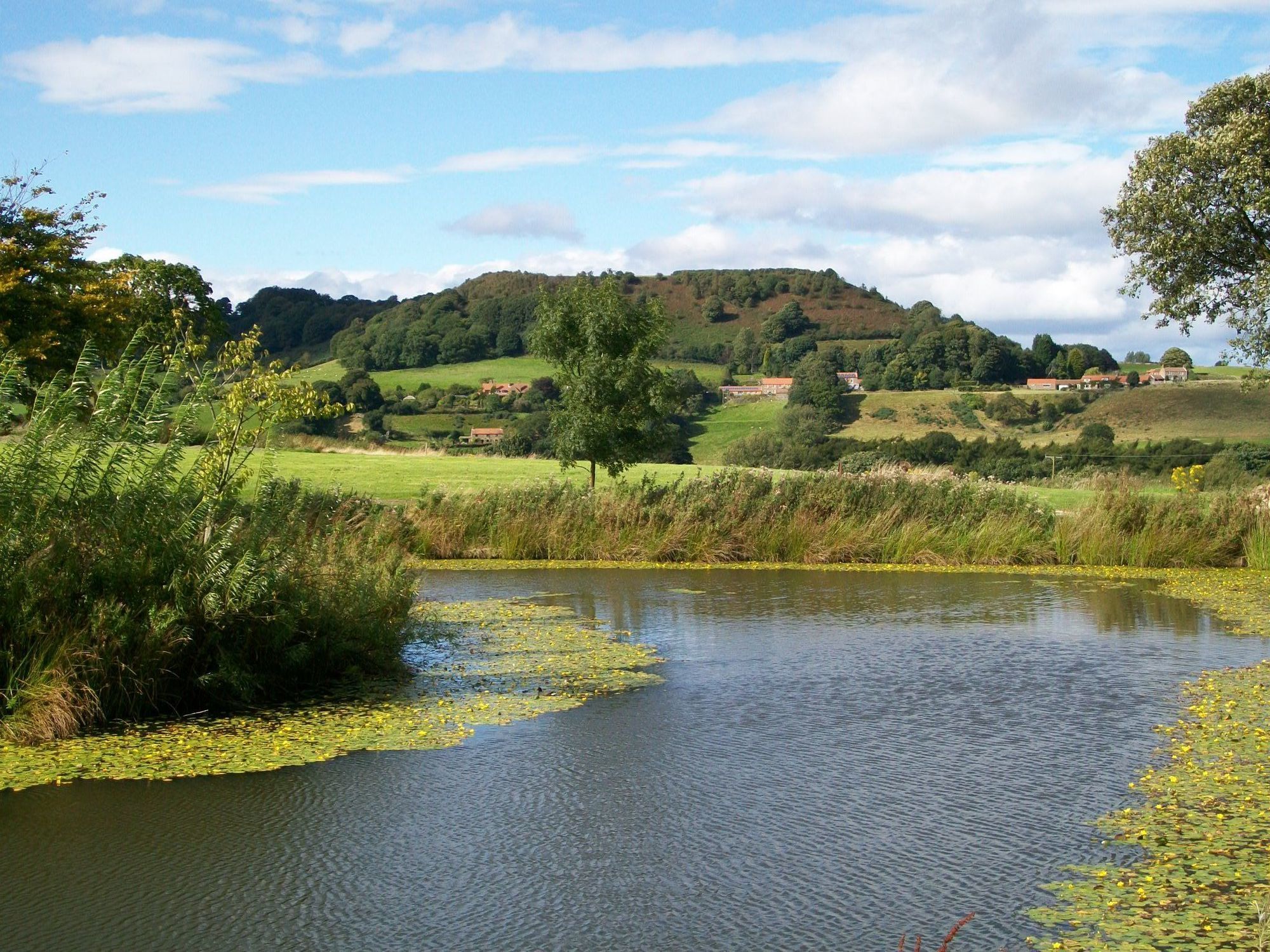 Hotel Ox Pasture Hall 4*