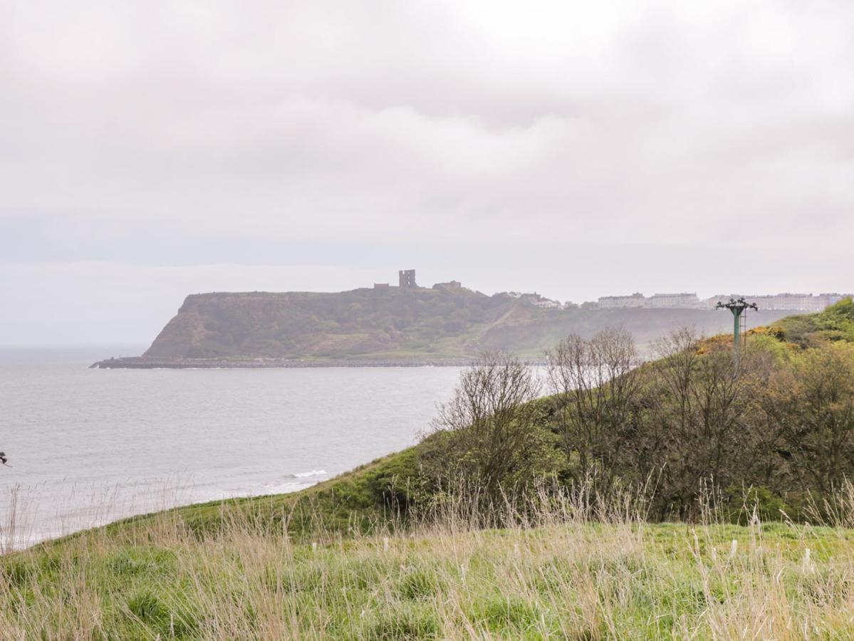 Captain's Scarborough