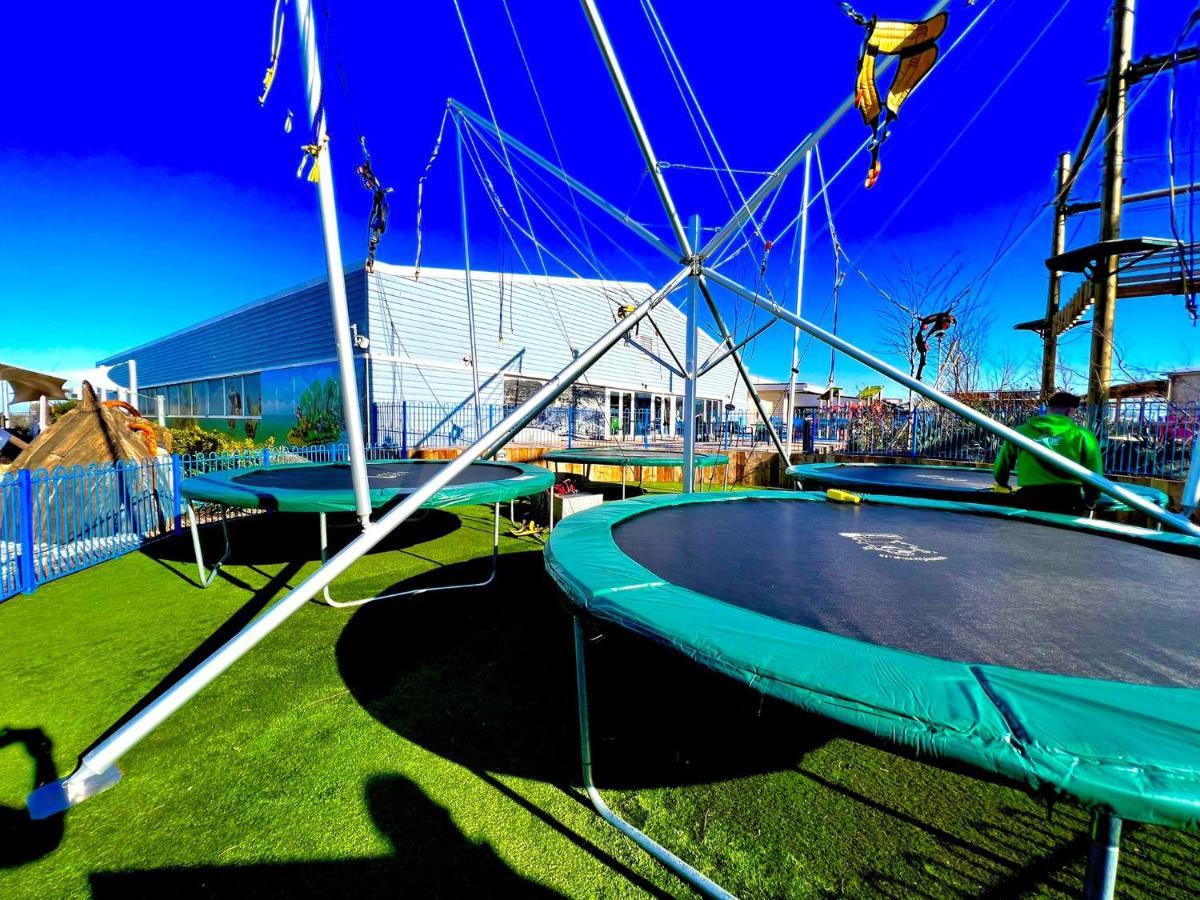 The Cove *