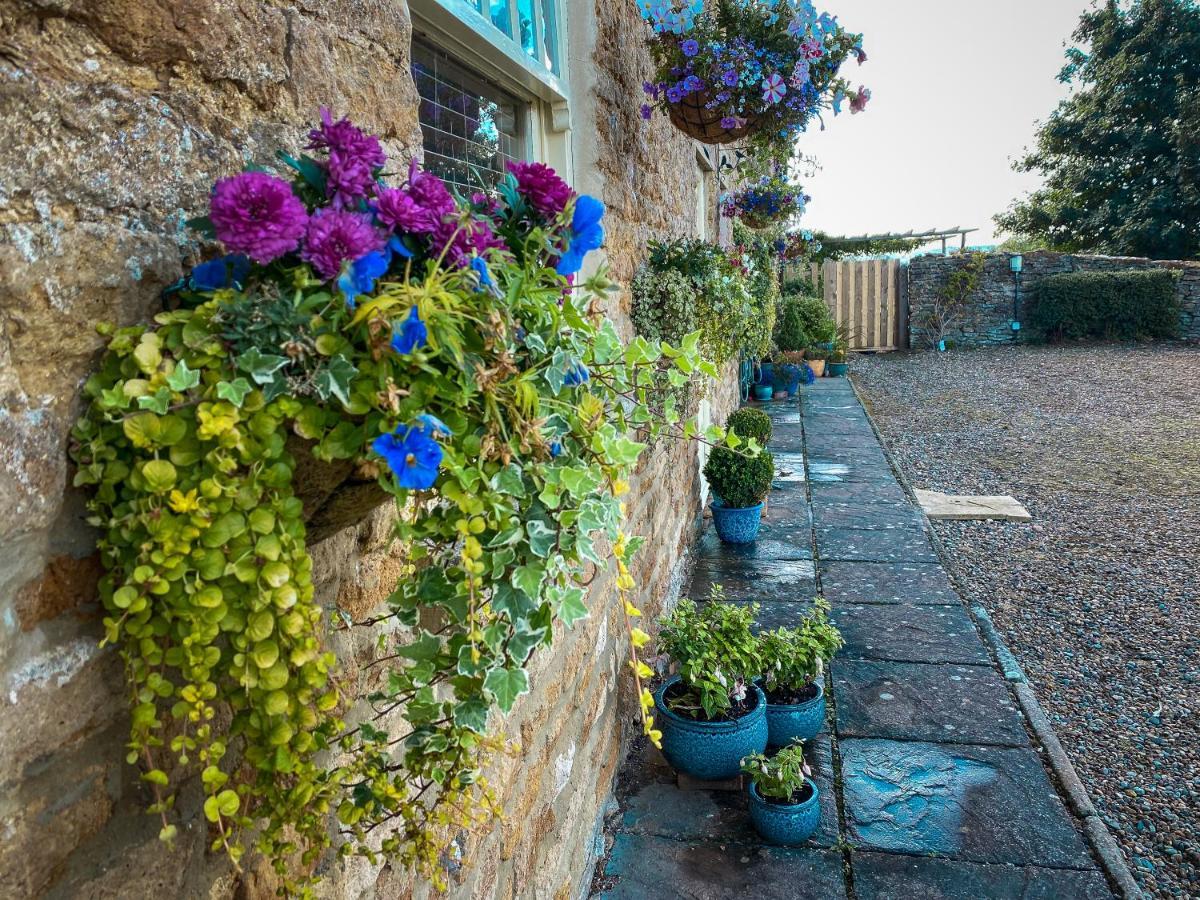 Old Orchard Cottage, Wykeham