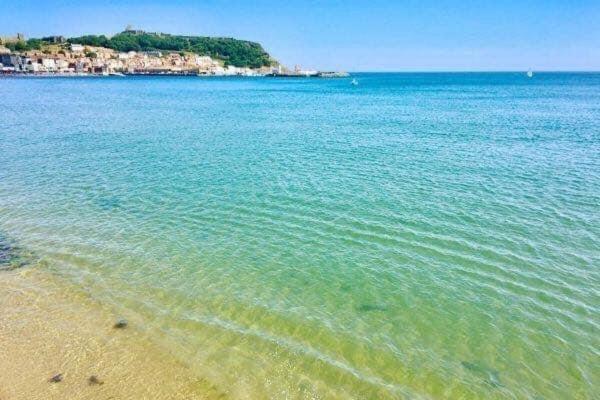 Lighthouse View, One Min From Harbour & Beach Apartment