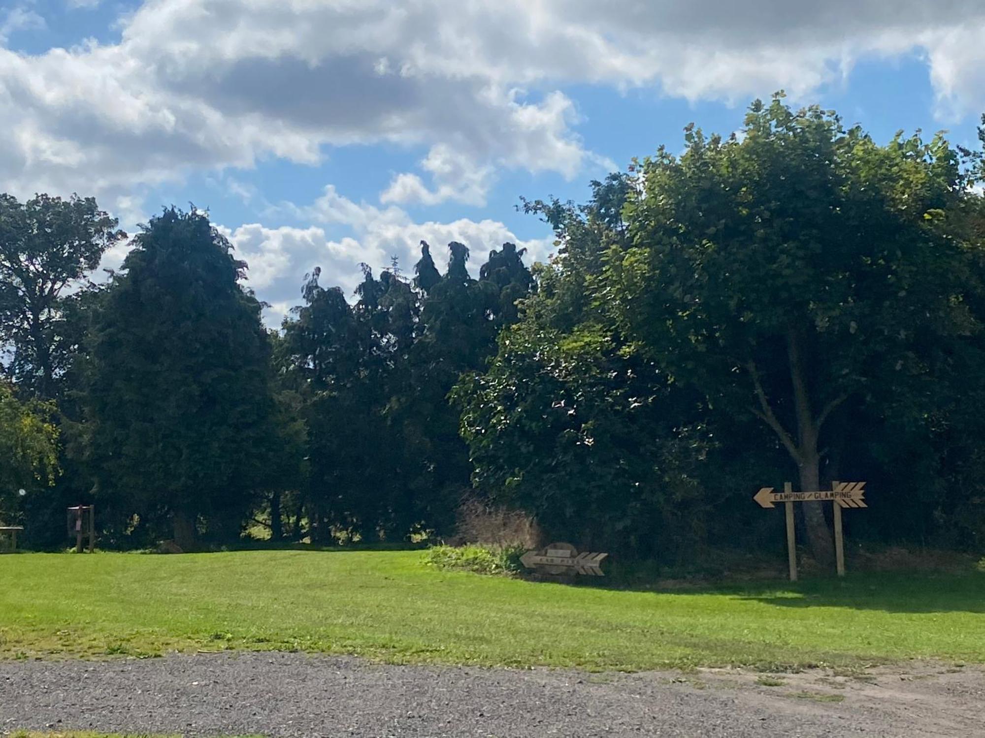 Roe Deer Meadow At Carr House Farm Luxury tent