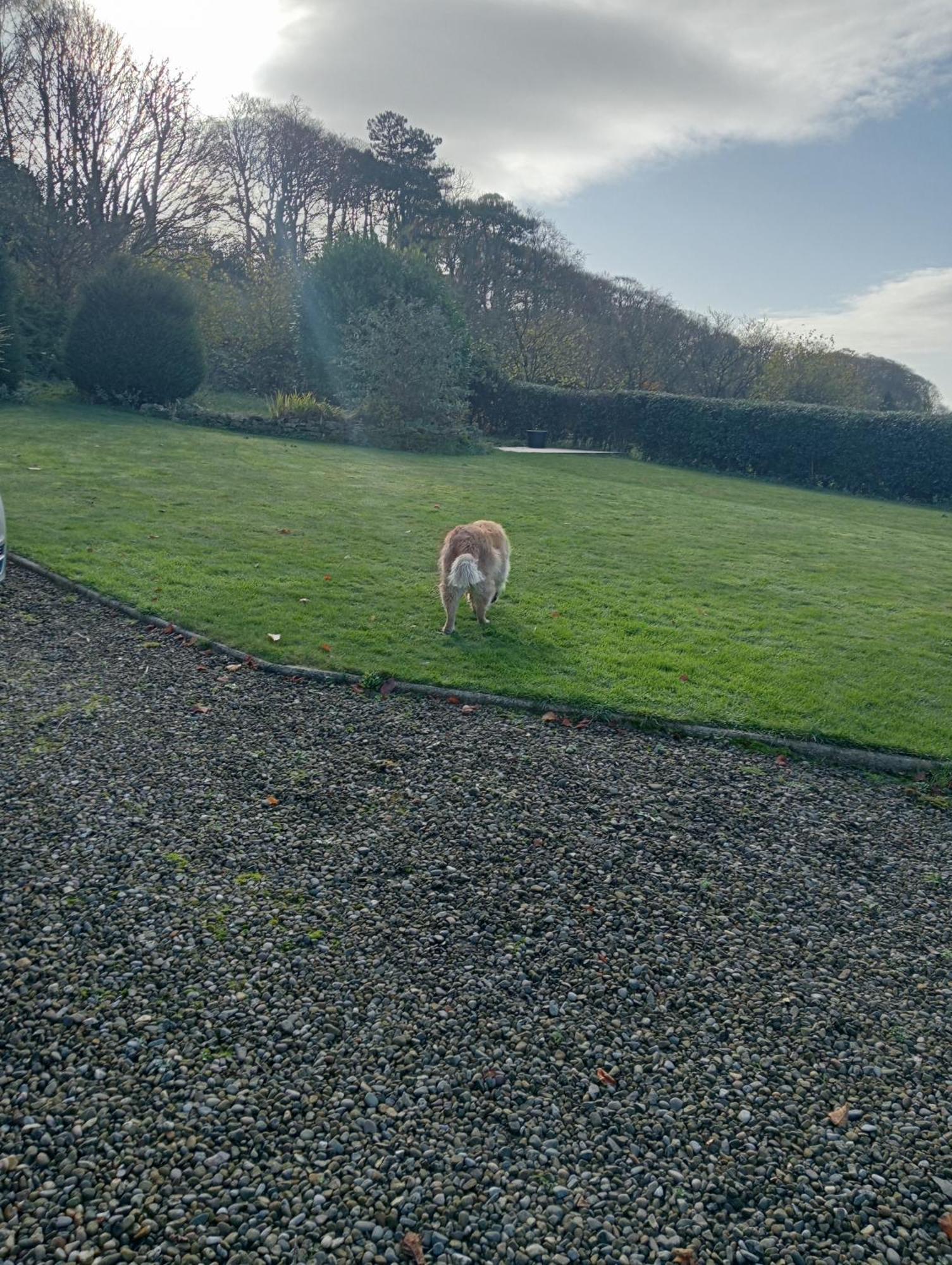 Larch Ruston Dog Friendly With Hot Tub Holiday home