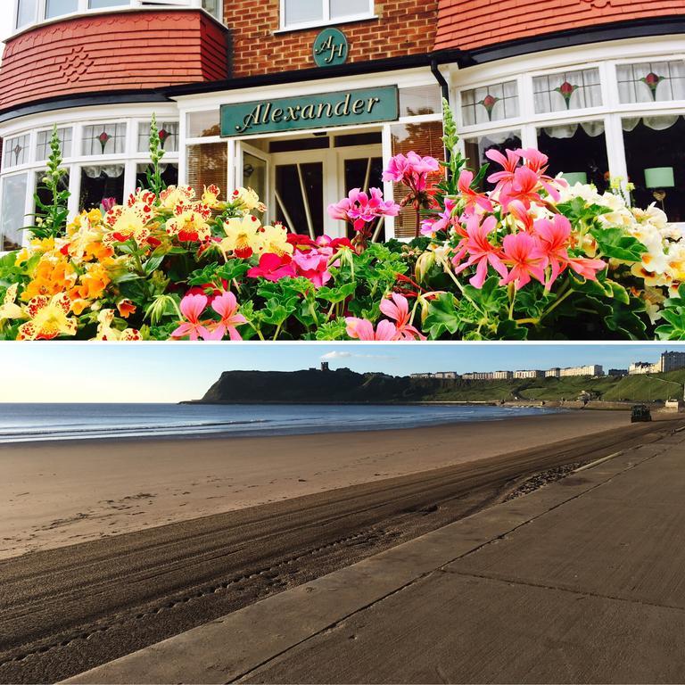 Guest house The Alexander - Seaside Hideaway (adults Only)