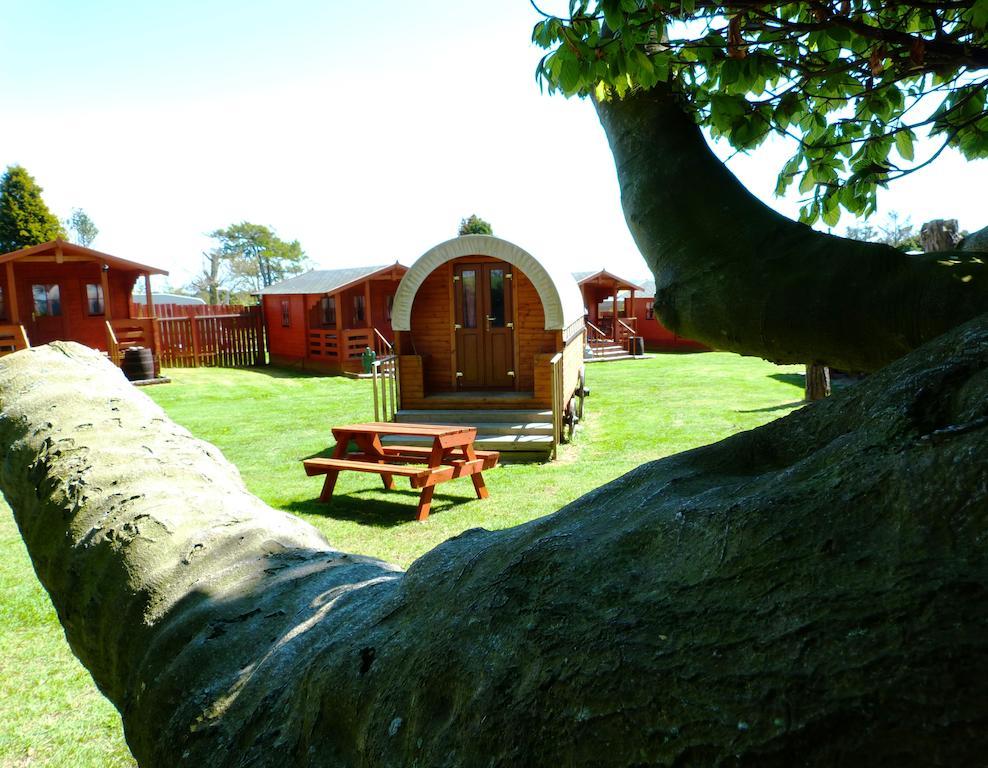 Campsite Pinewood Park - Tipis, Hot Tubs And Scarborough