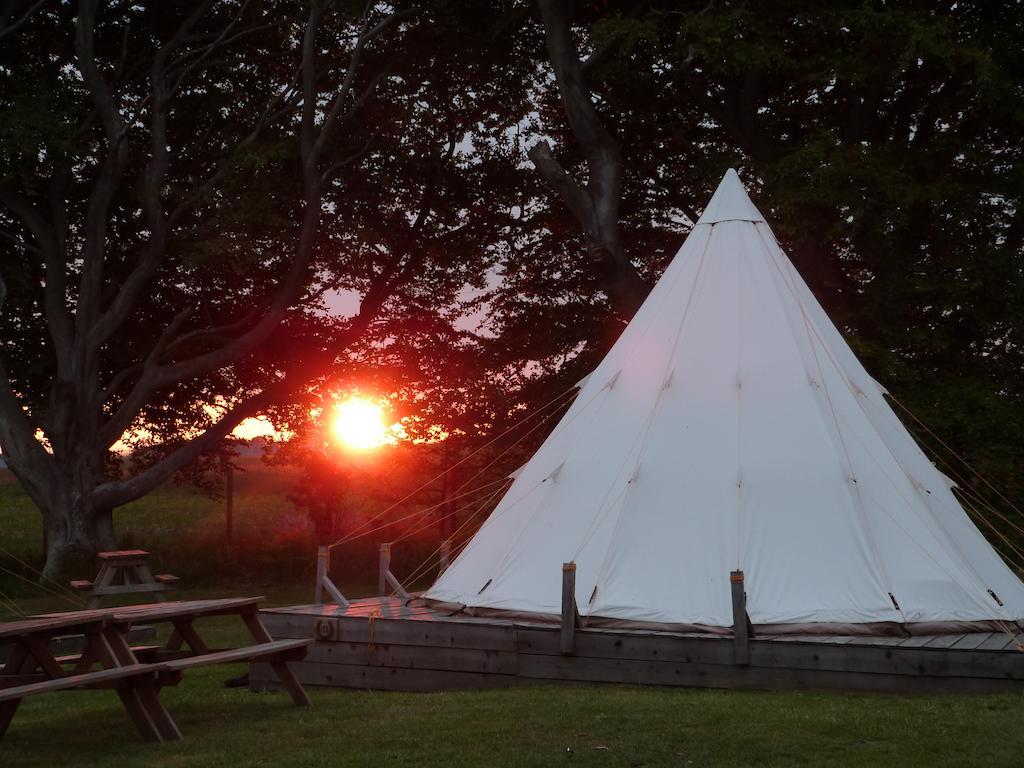 Pinewood Park - Tipis, Hot Tubs And 4*