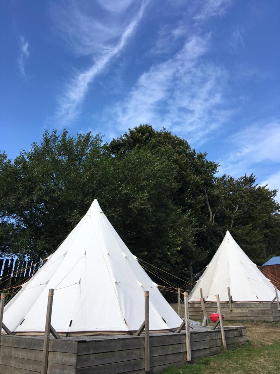 Campsite Pinewood Park - Tipis, Hot Tubs And
