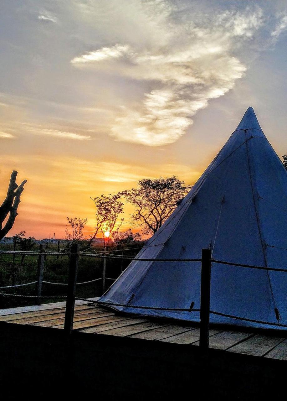 Pinewood Park - Tipis, Hot Tubs And 4* Scarborough