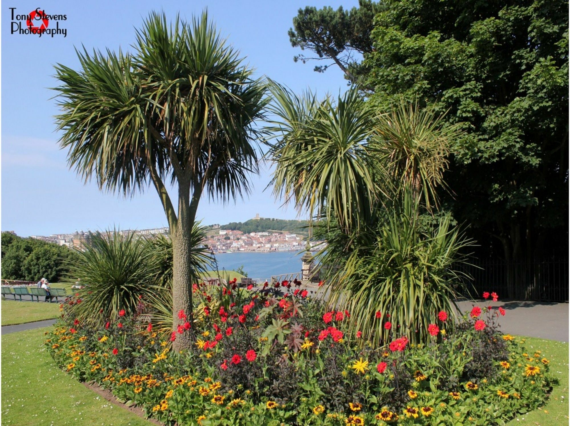 Esplanade Gardens