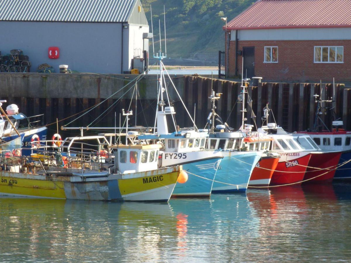 Wren Scarborough